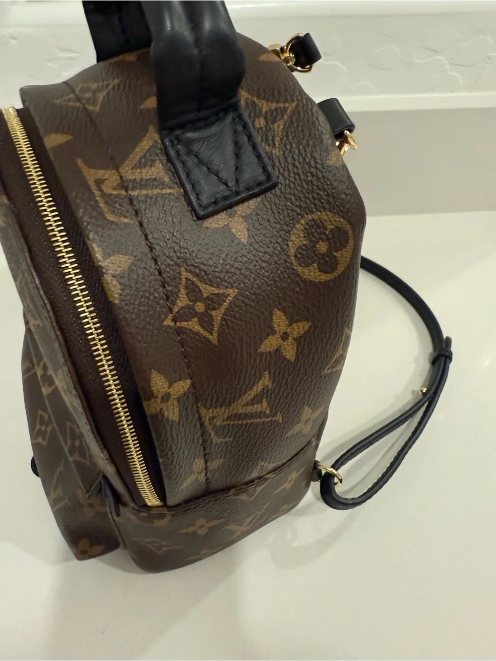 Louis Vuitton Palm Springs Mini Backpack